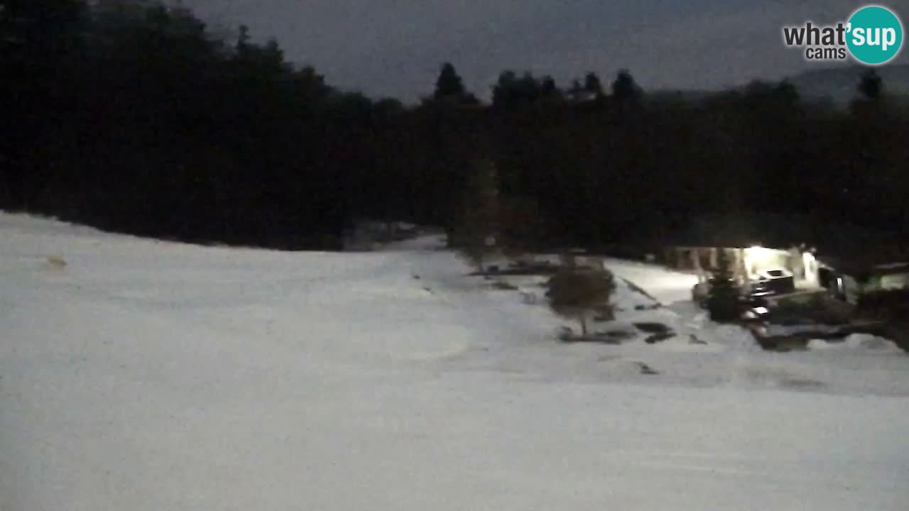 Webcam Pohorje Trikotna Jasa | Poštela