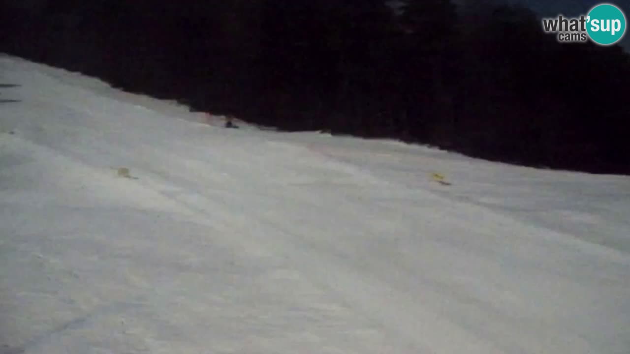 Webcam Pohorje Trikotna Jasa | Poštela