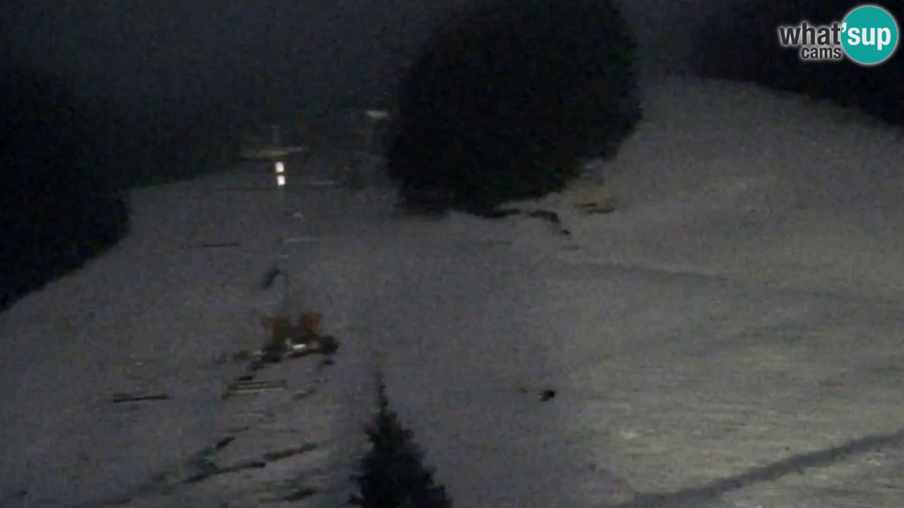 Webcam Pohorje Trikotna Jasa | Poštela