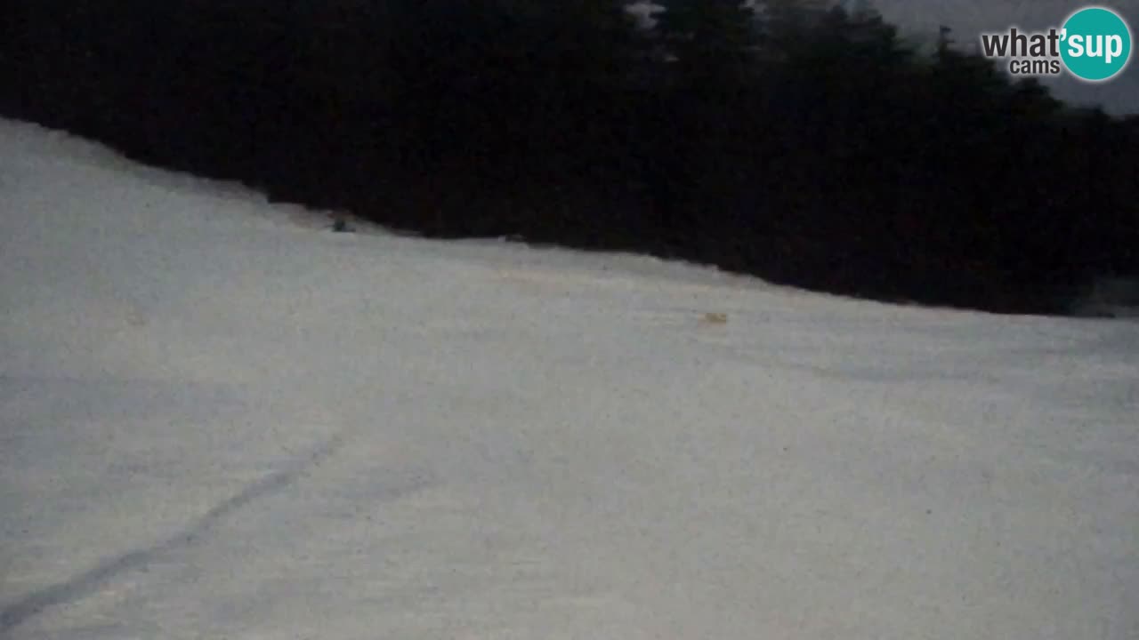 Web Camera Pohorje Trikotna Jasa | Poštela