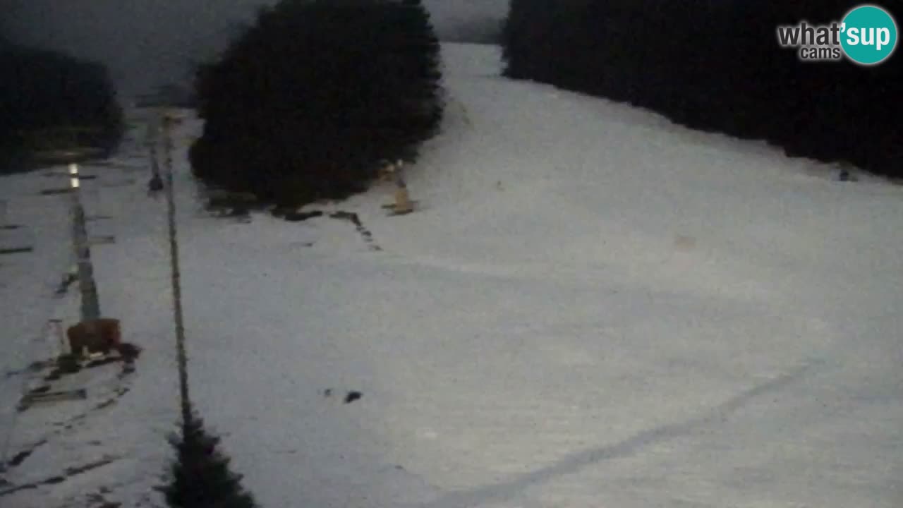 Webcam Pohorje Trikotna Jasa | Poštela