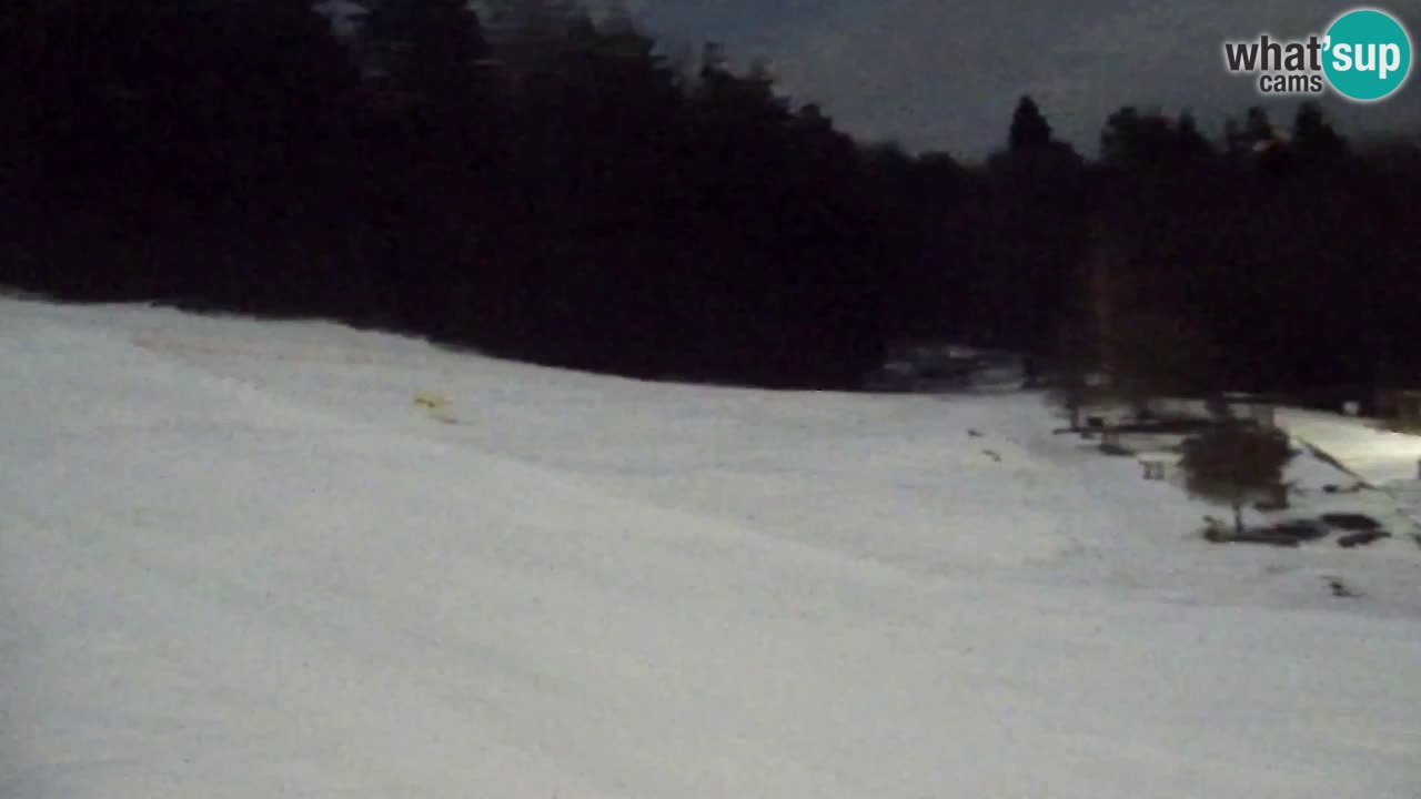 Web Camera Pohorje Trikotna Jasa | Poštela