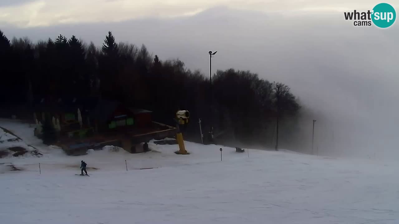 Webcam Pohorje Trikotna Jasa | Poštela