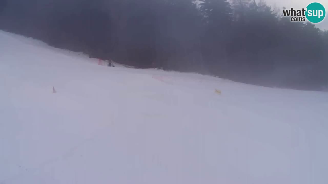 Webcam Pohorje Trikotna Jasa | Poštela