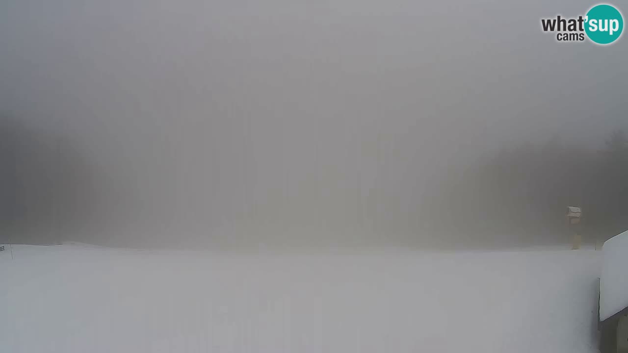 Webcam Pohorje Trikotna Jasa | Poštela