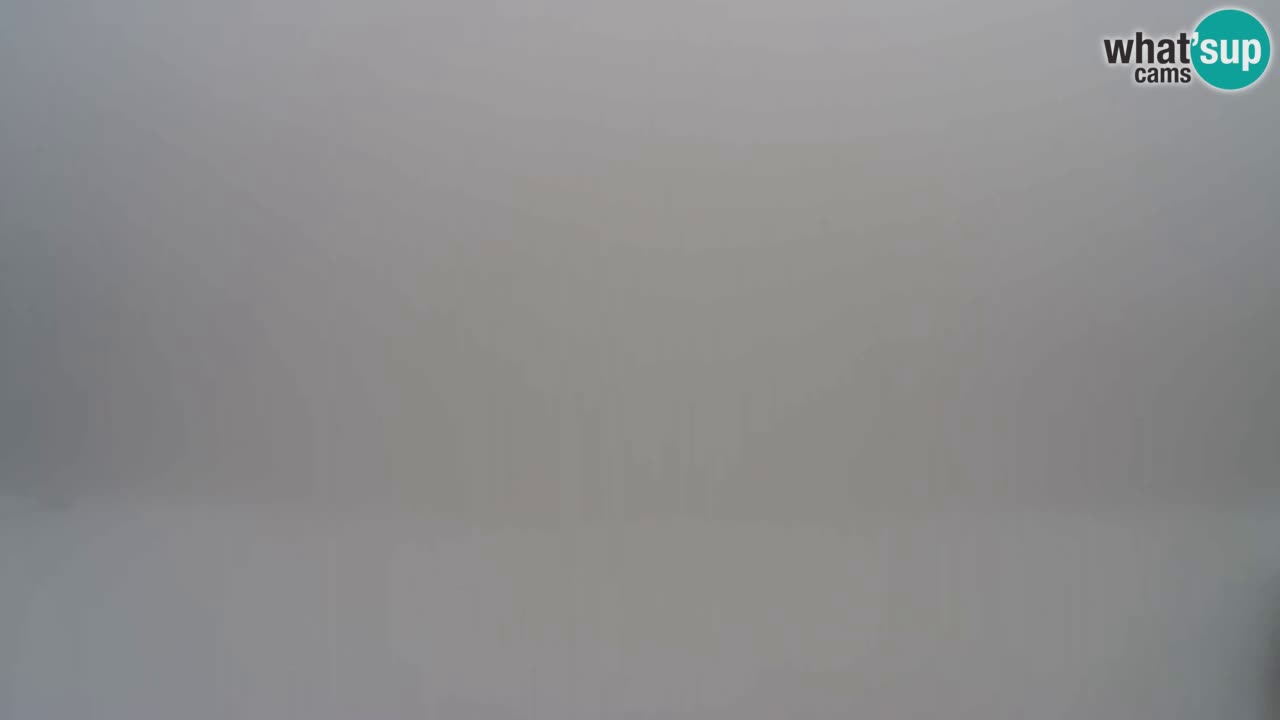 Webcam Pohorje Trikotna Jasa | Poštela