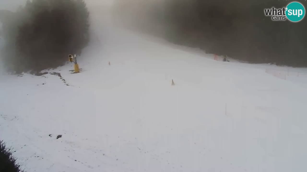 Webcam Pohorje Trikotna Jasa | Poštela