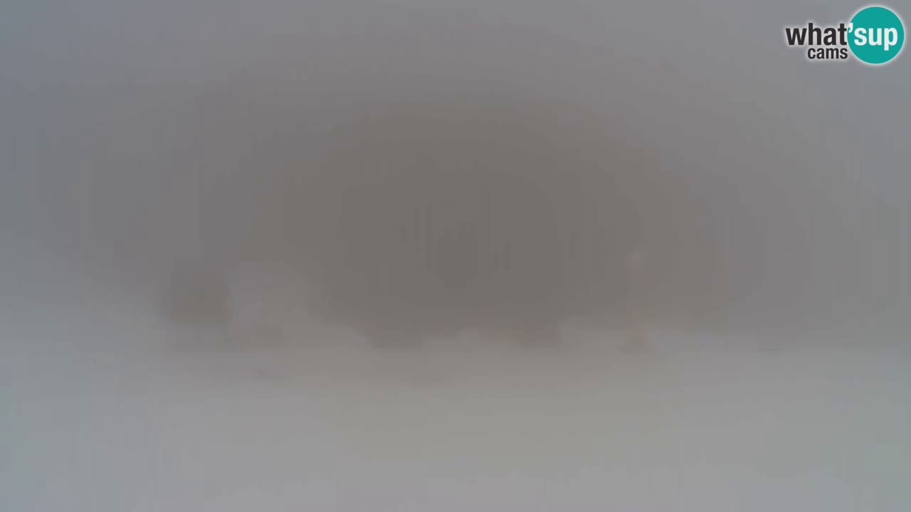 Webcam Pohorje Trikotna Jasa | Poštela