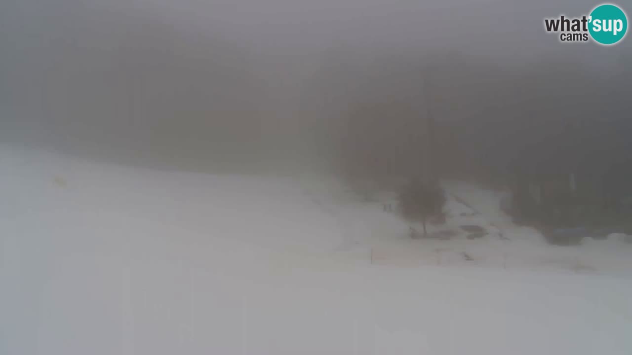 Webcam Pohorje Trikotna Jasa | Poštela