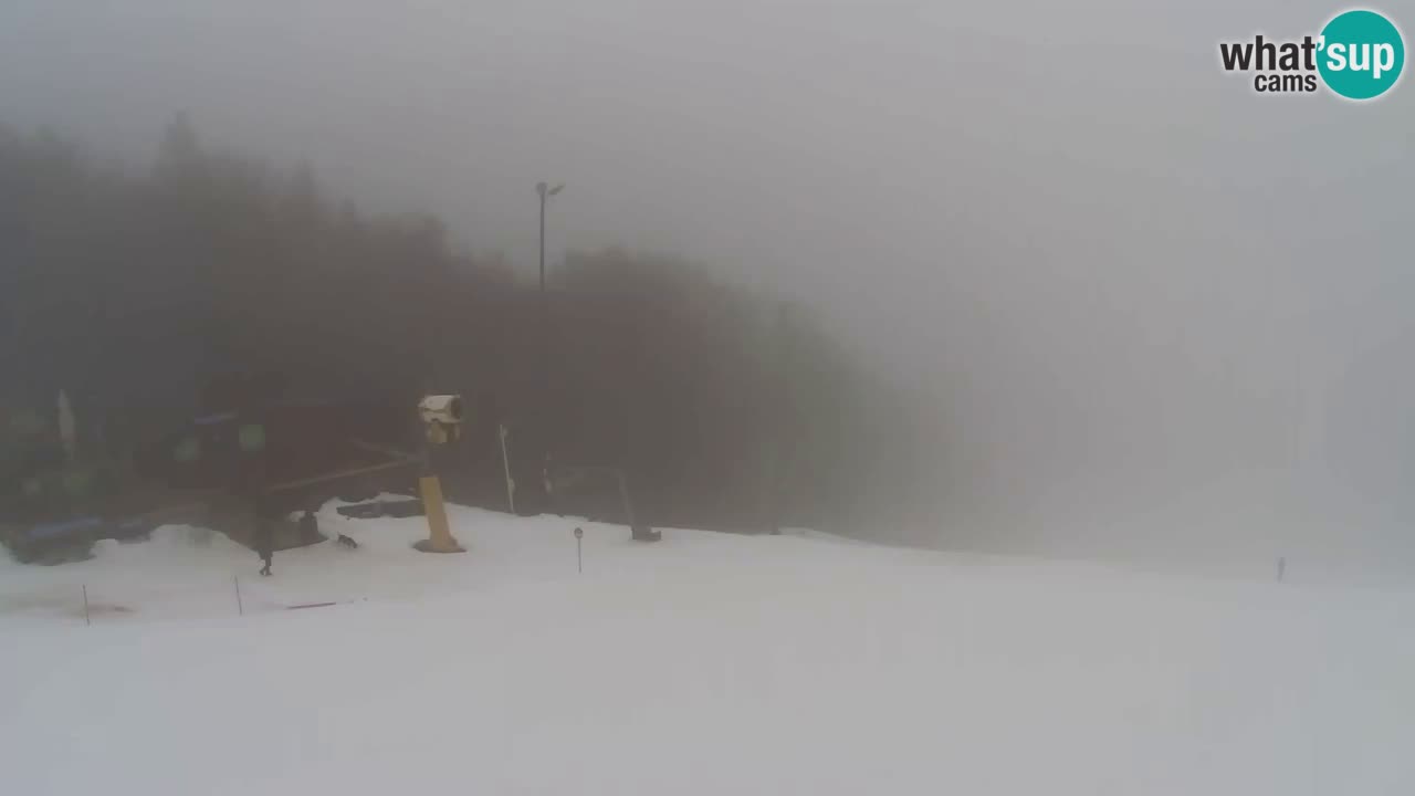 Webcam Pohorje Trikotna Jasa | Poštela