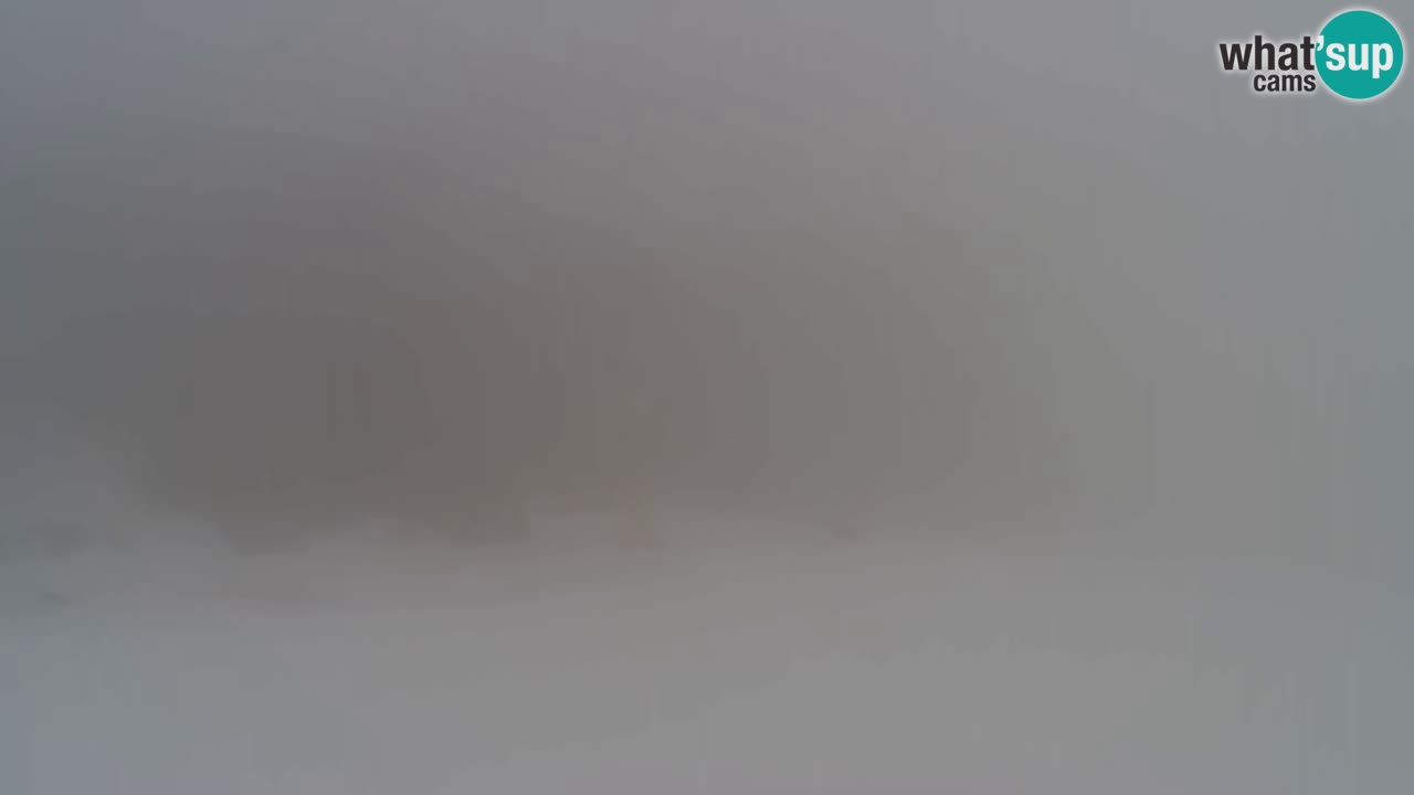 Webcam Pohorje Trikotna Jasa | Poštela