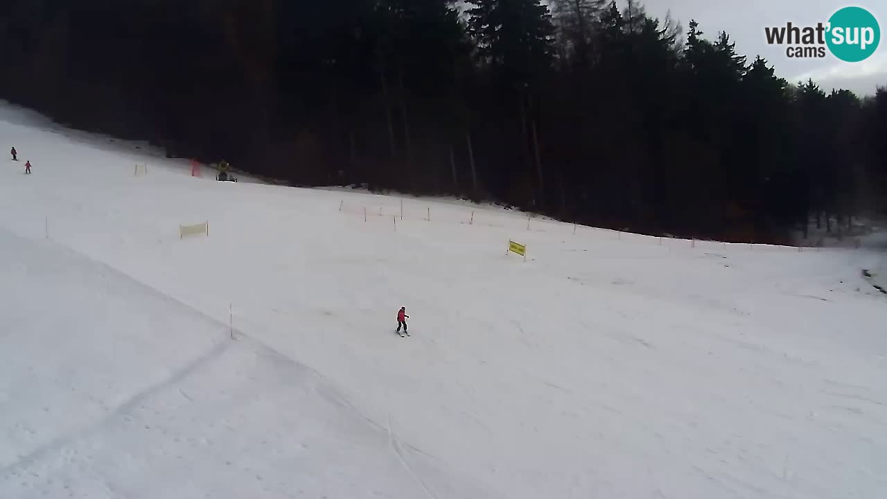 Spletna Kamera Pohorje Trikotna Jasa | Poštela