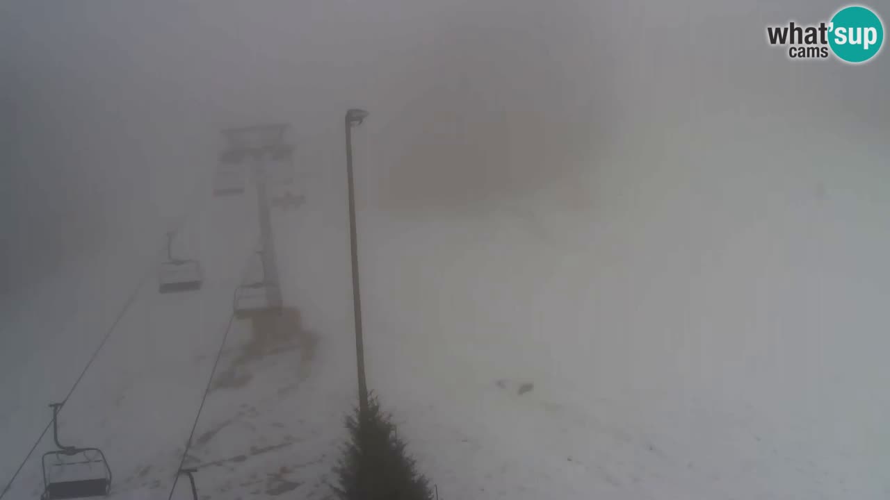 Webcam Pohorje Trikotna Jasa | Poštela