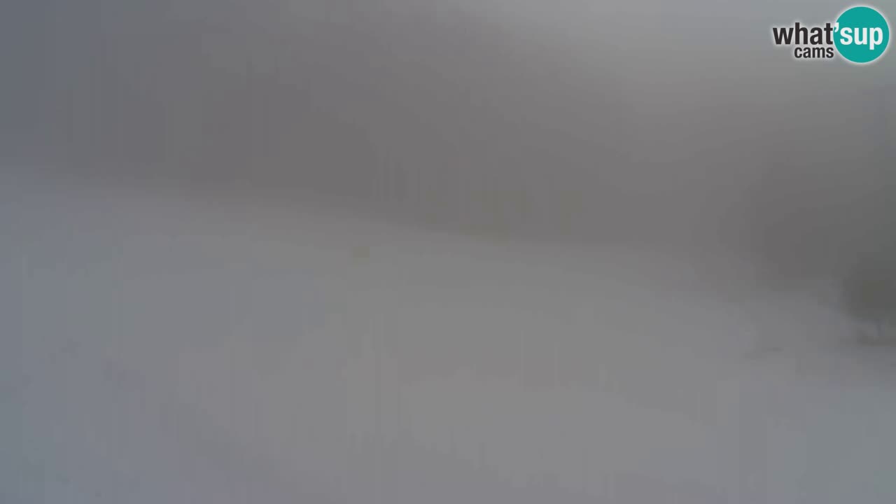 Web kamera Pohorje Trikotna Jasa | Poštela