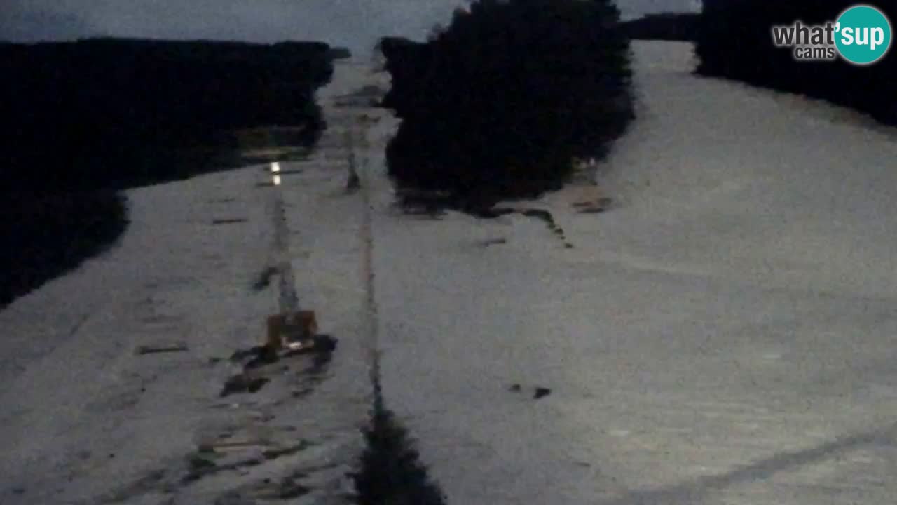 Webcam Pohorje Trikotna Jasa | Poštela