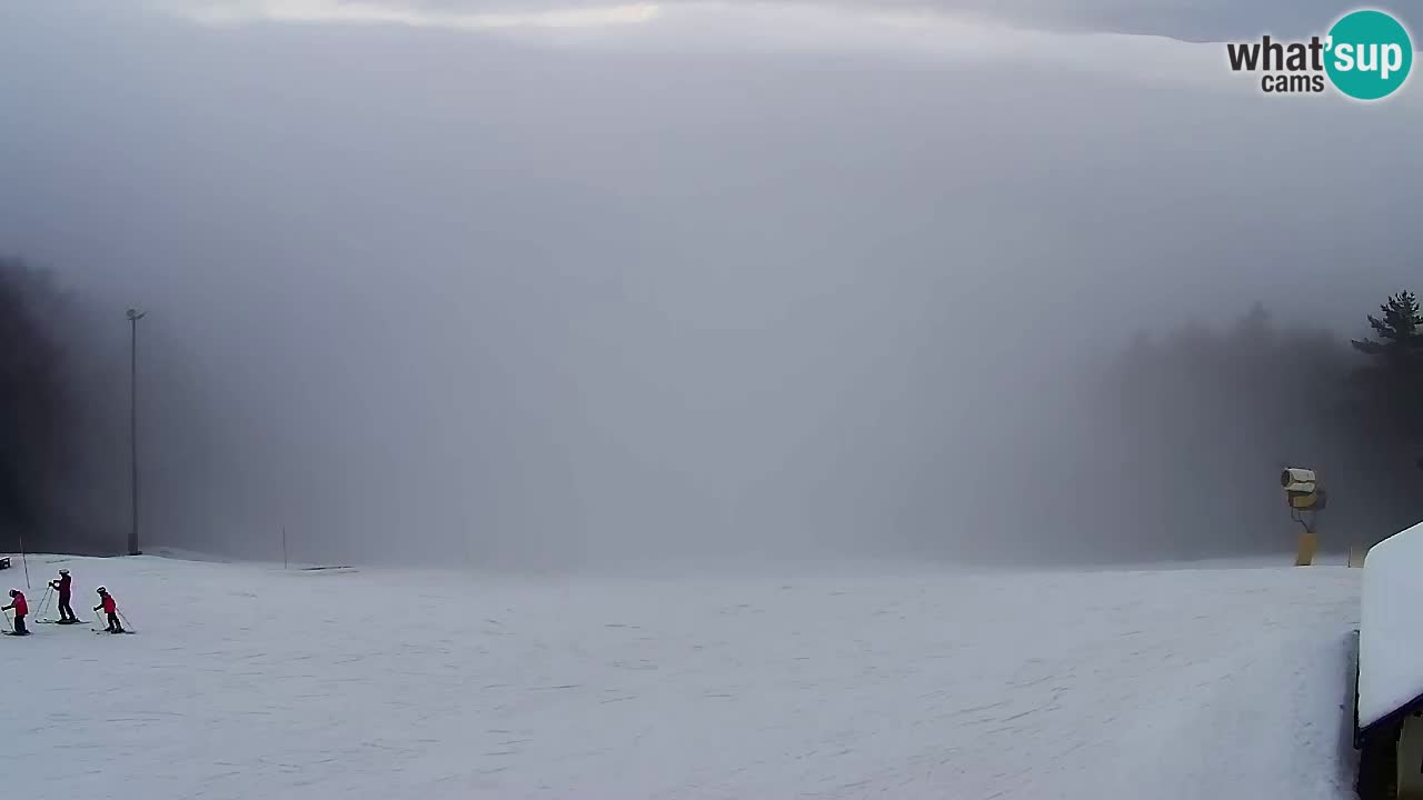 Webcam Pohorje Trikotna Jasa | Poštela