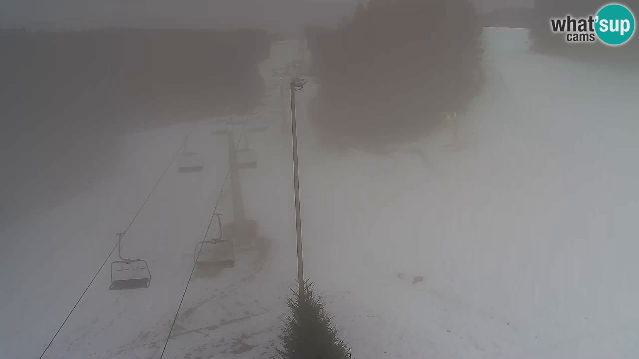 Webcam Pohorje Trikotna Jasa | Poštela