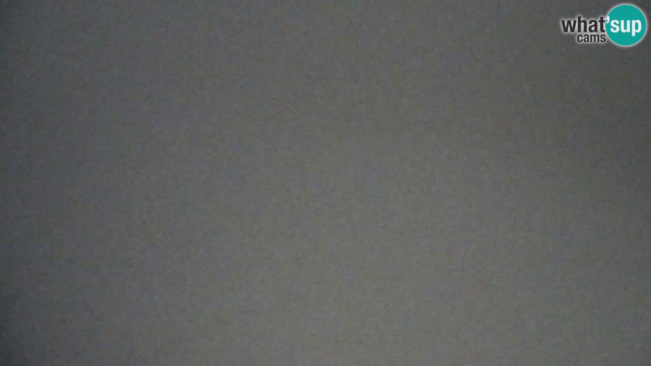 Webcam Pohorje Trikotna Jasa | Poštela