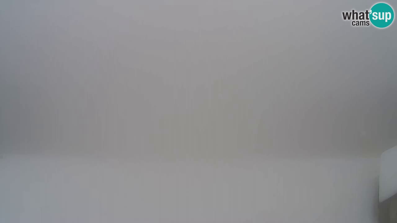 Webcam Pohorje Trikotna Jasa | Poštela