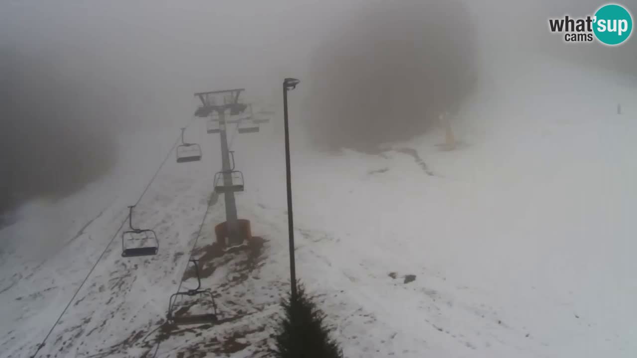 Webcam Pohorje Trikotna Jasa | Poštela