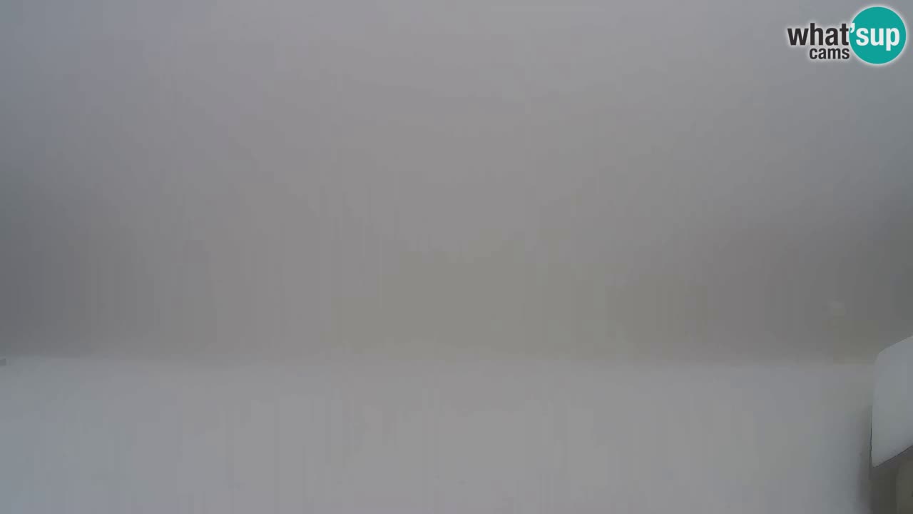 Webcam Pohorje Trikotna Jasa | Poštela