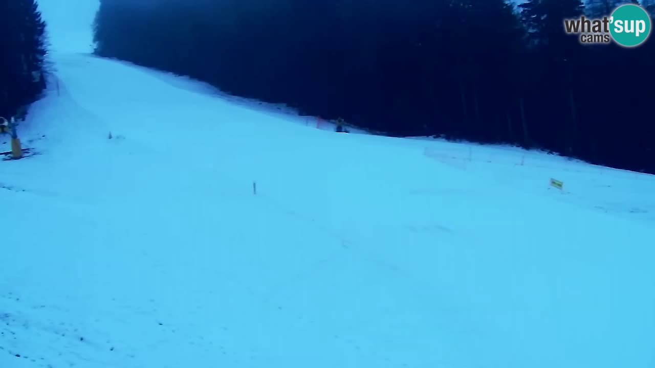 Webcam Pohorje Trikotna Jasa | Poštela