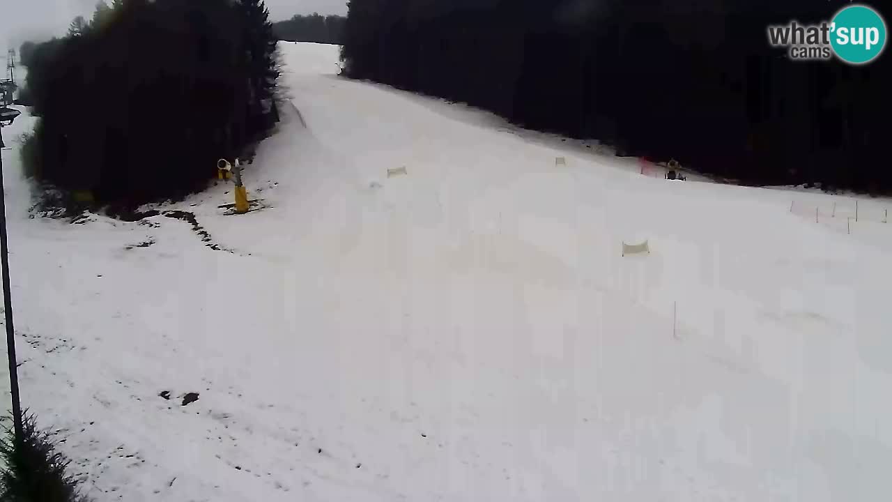 Webcam Pohorje Trikotna Jasa | Poštela