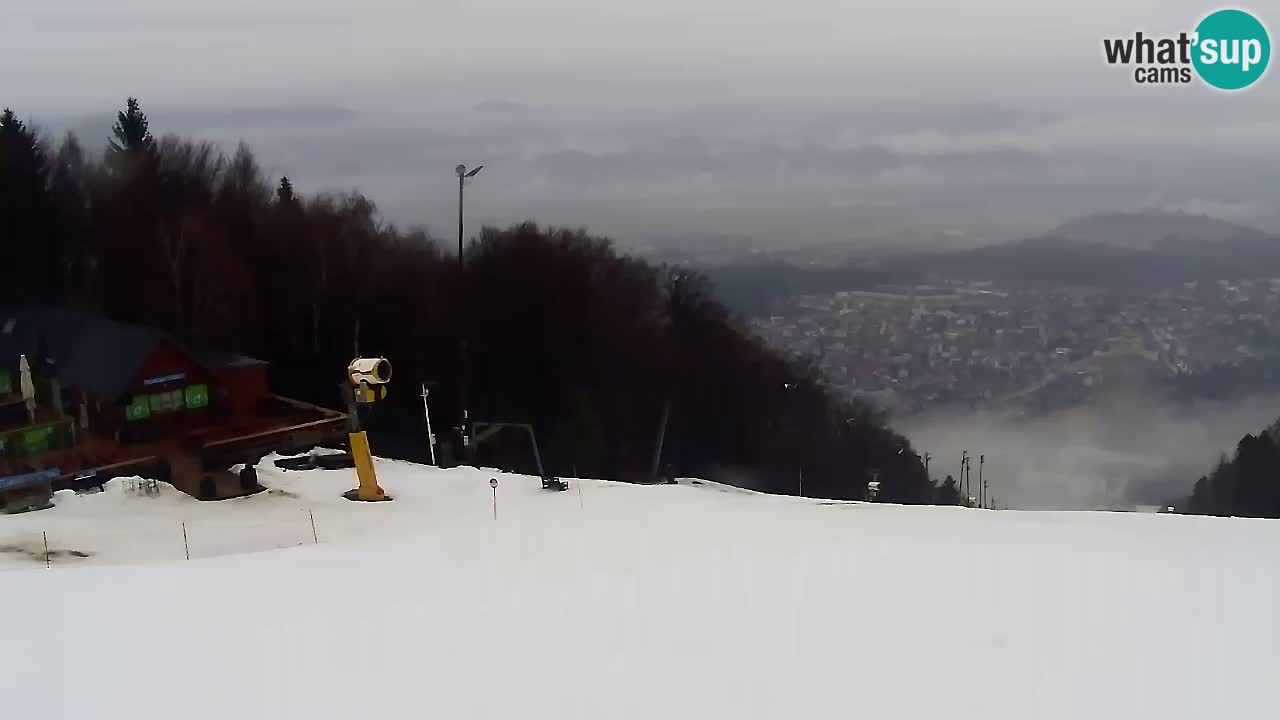 Web Camera Pohorje Trikotna Jasa | Poštela