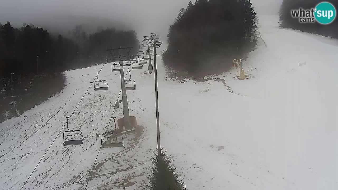 Web Camera Pohorje Trikotna Jasa | Poštela