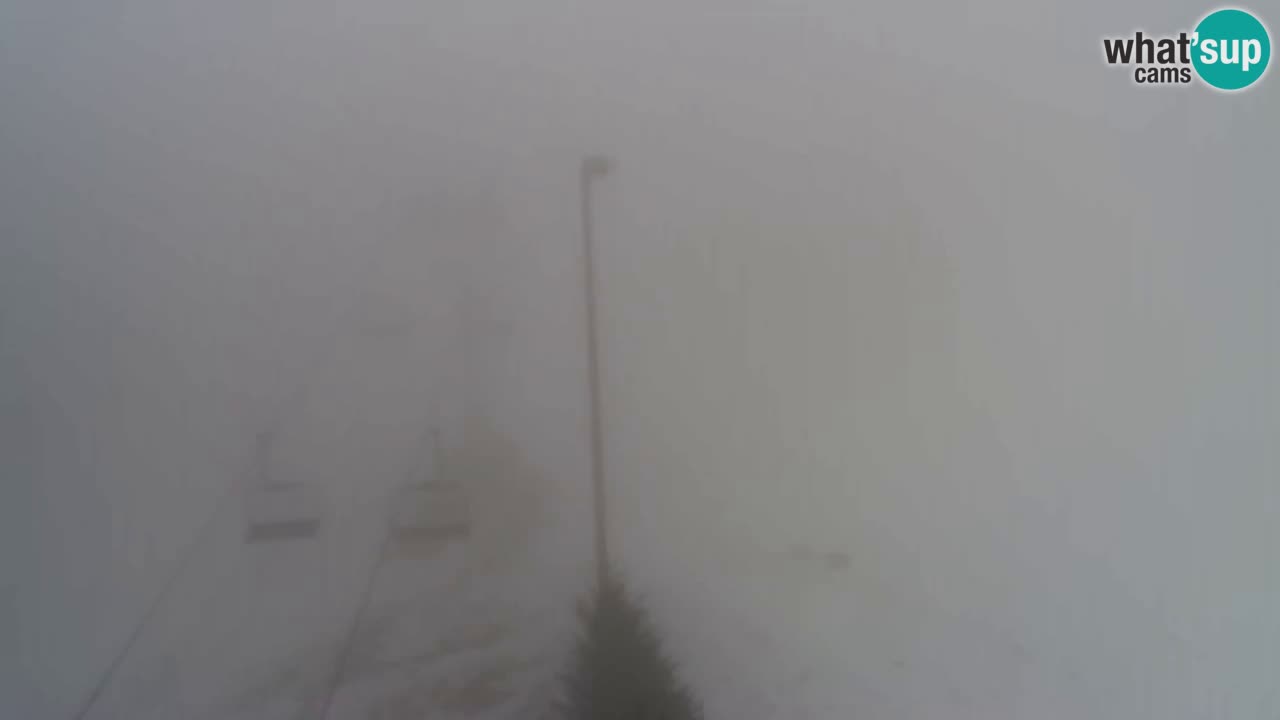 Web Camera Pohorje Trikotna Jasa | Poštela