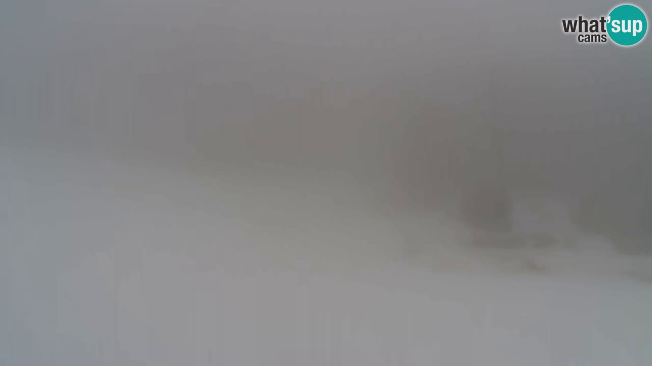 Webcam Pohorje Trikotna Jasa | Poštela