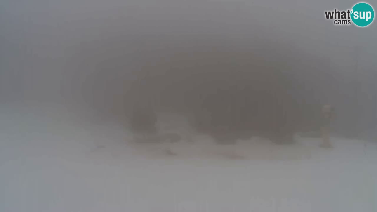 Web Camera Pohorje Trikotna Jasa | Poštela