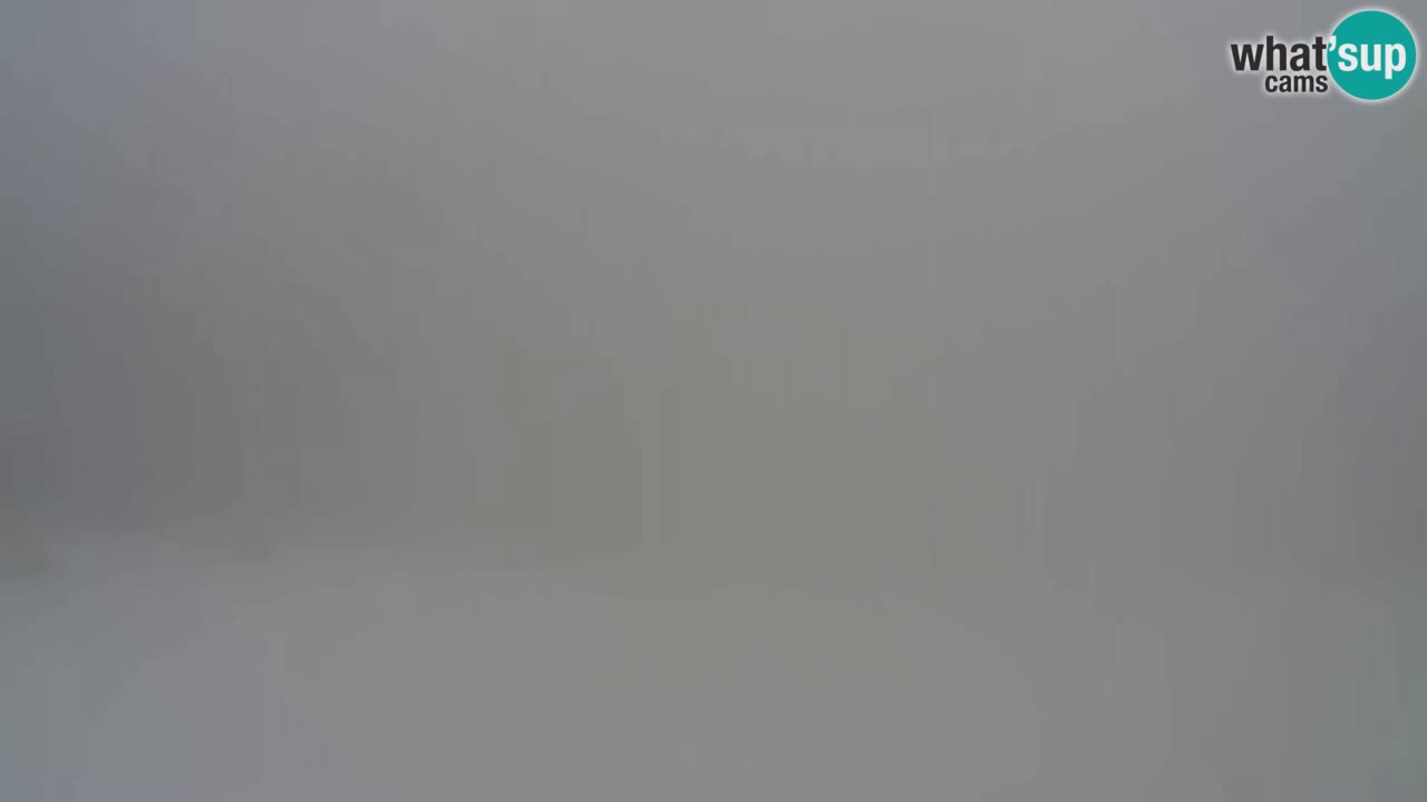 Web Camera Pohorje Trikotna Jasa | Poštela