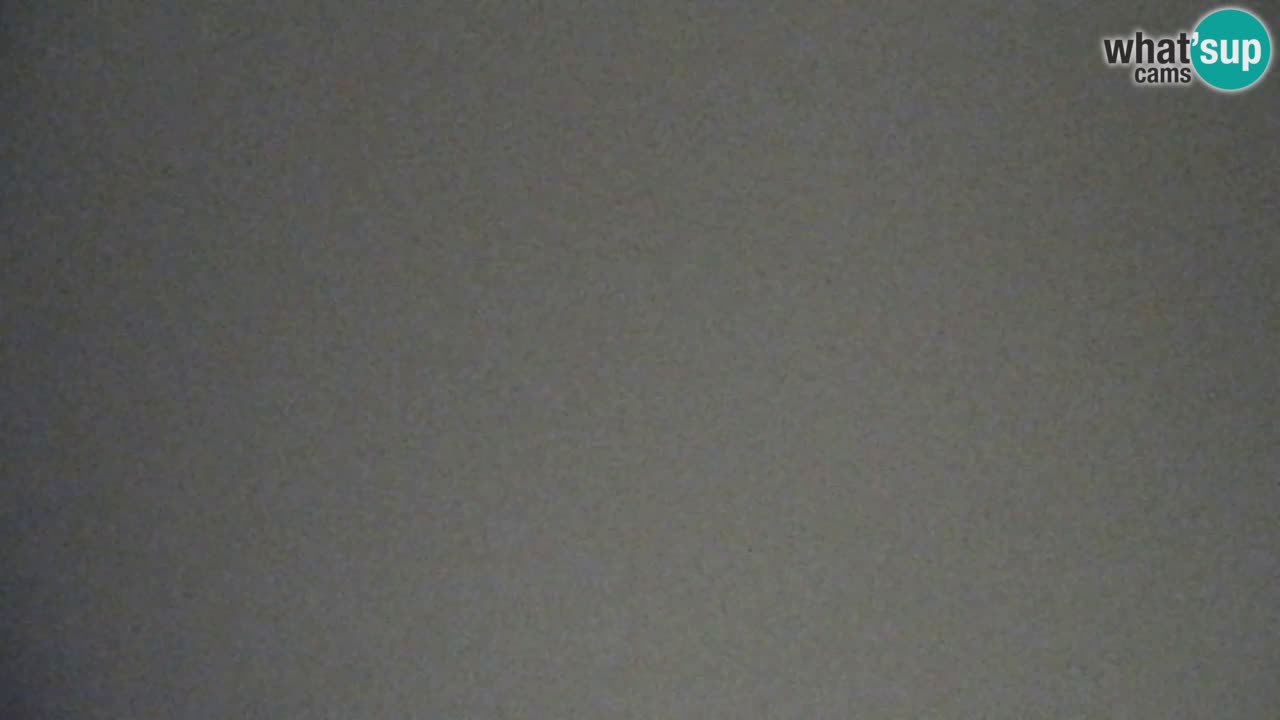 Webcam Pohorje Trikotna Jasa | Poštela