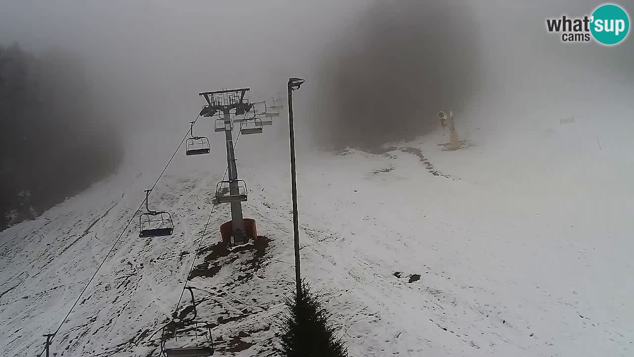 Web Camera Pohorje Trikotna Jasa | Poštela