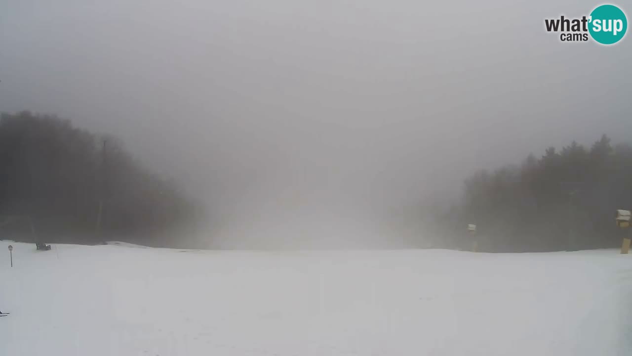 Webcam Pohorje Trikotna Jasa | Poštela