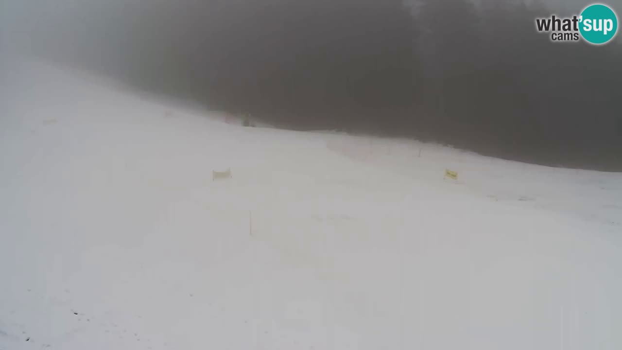 Webcam Pohorje Trikotna Jasa | Poštela