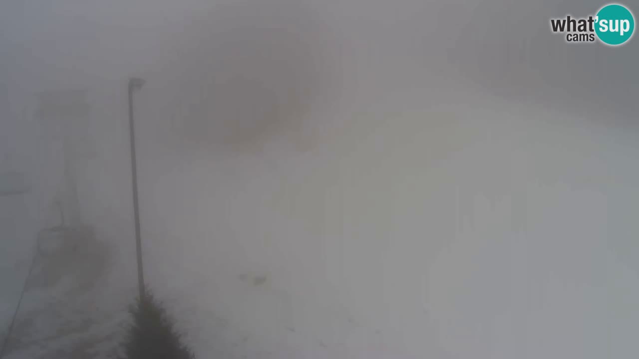 Webcam Pohorje Trikotna Jasa | Poštela