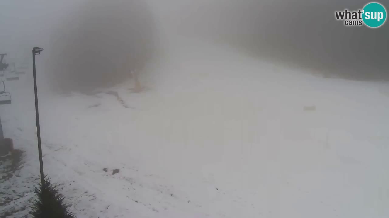 Webcam Pohorje Trikotna Jasa | Poštela