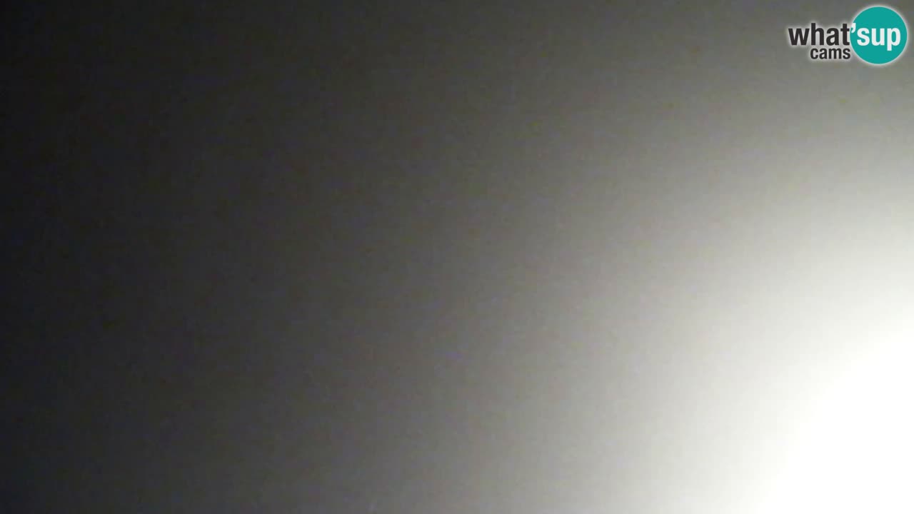 Webcam Pohorje Trikotna Jasa | Poštela