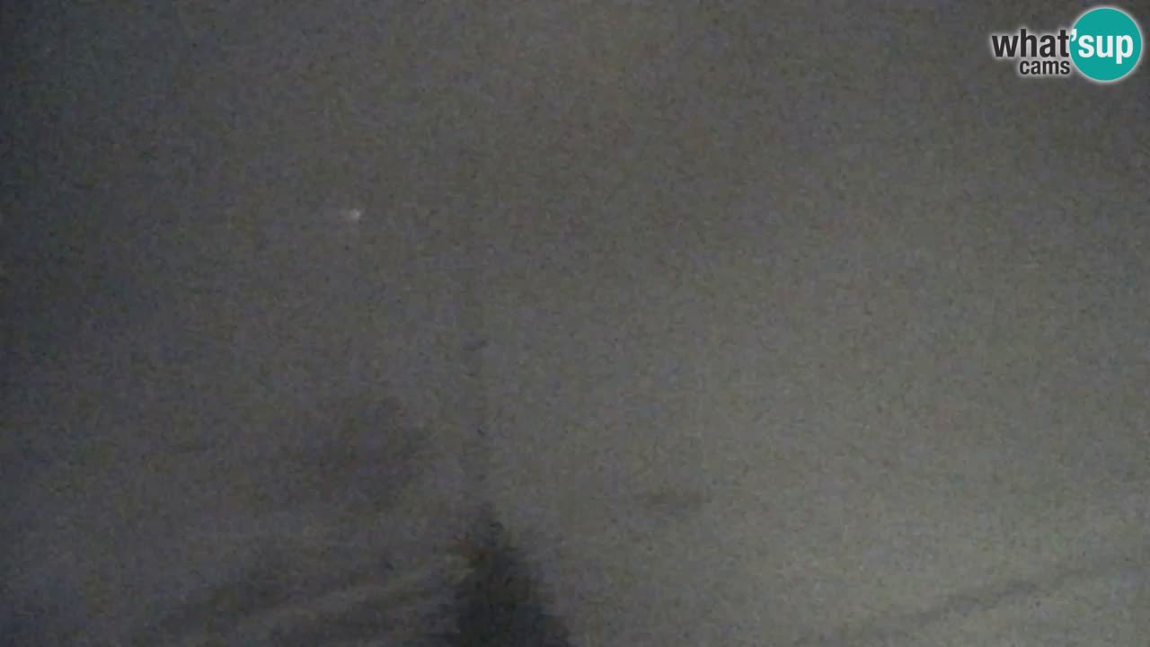 Web Camera Pohorje Trikotna Jasa | Poštela