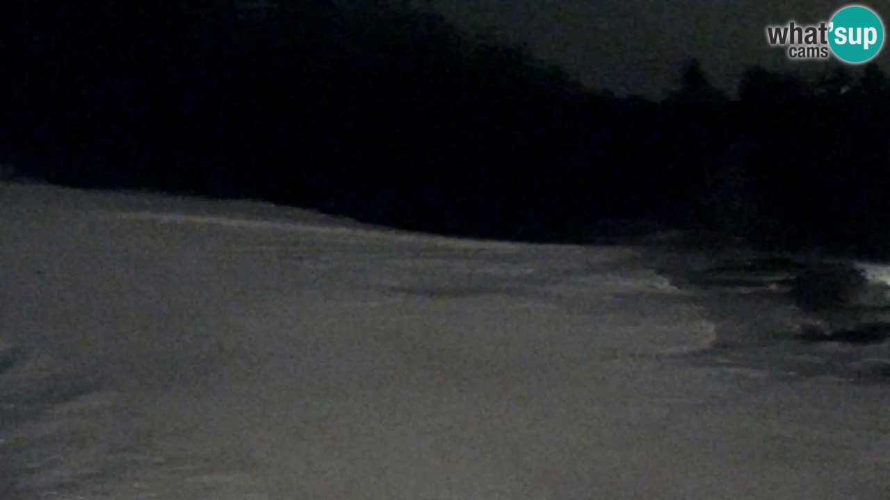 Web Camera Pohorje Trikotna Jasa | Poštela