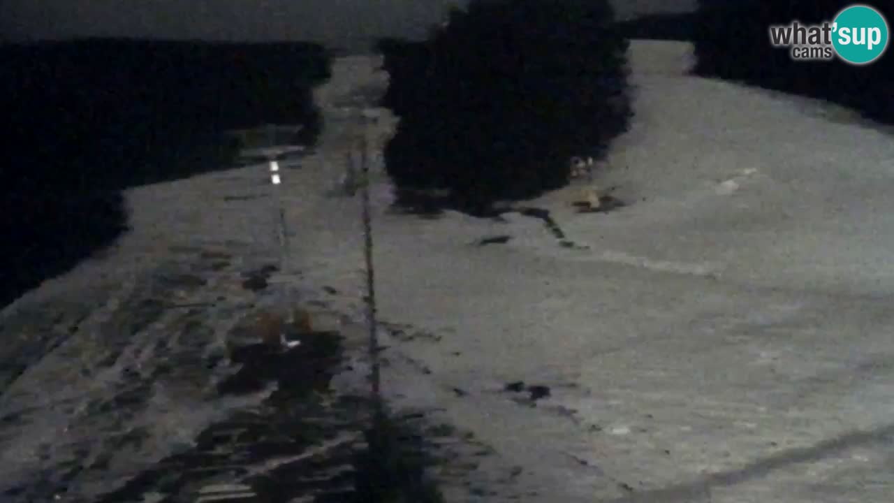 Webcam Pohorje Trikotna Jasa | Poštela