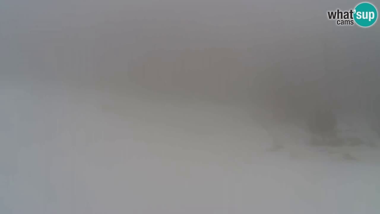 Webcam Pohorje Trikotna Jasa | Poštela