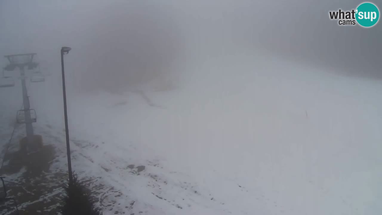 Web Camera Pohorje Trikotna Jasa | Poštela