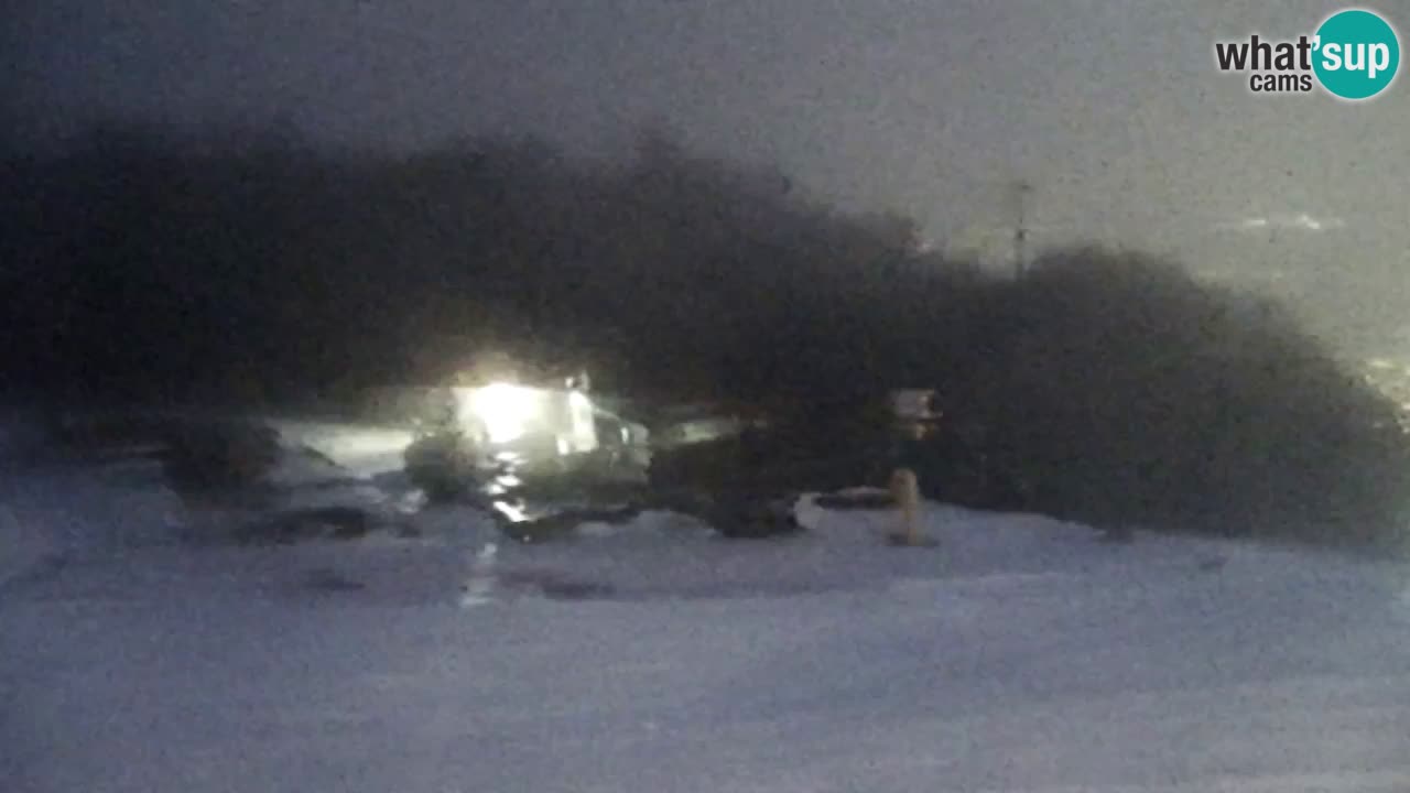 Webcam Pohorje Trikotna Jasa | Poštela