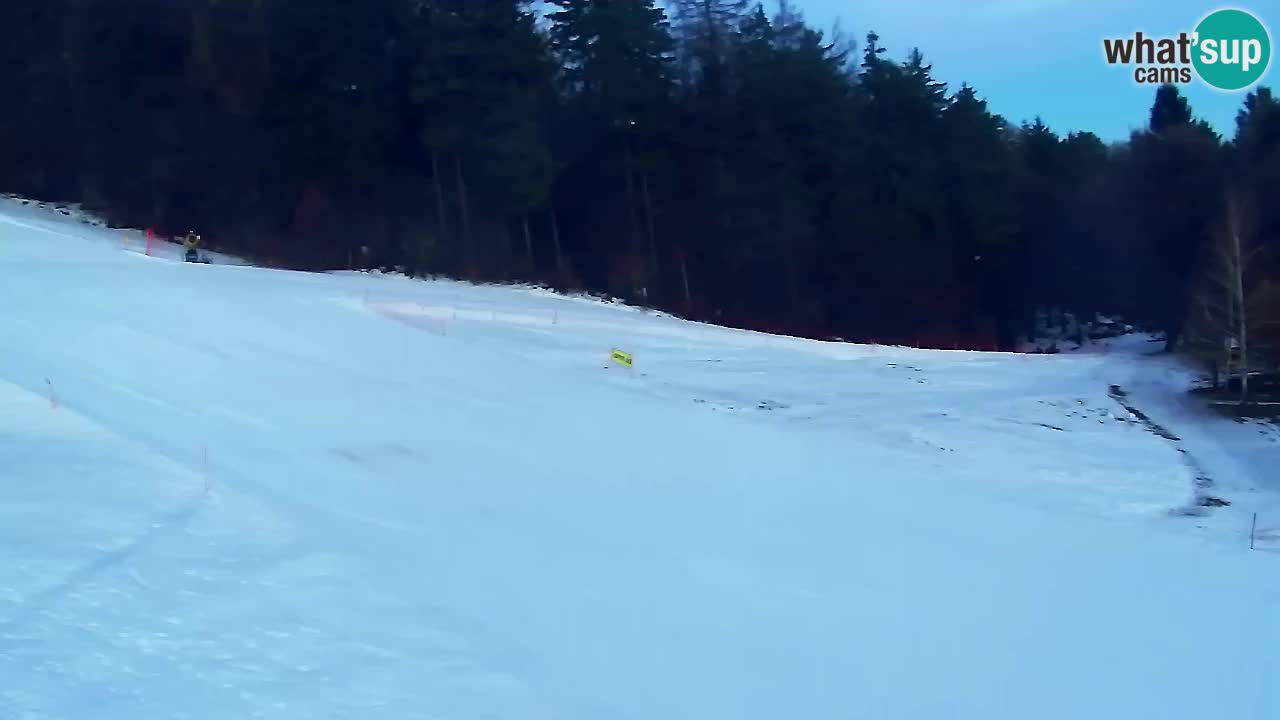 Webcam Pohorje Trikotna Jasa | Poštela