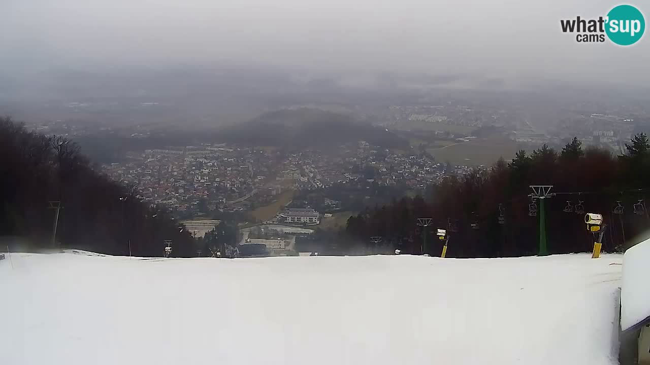 Webcam Pohorje Trikotna Jasa | Poštela