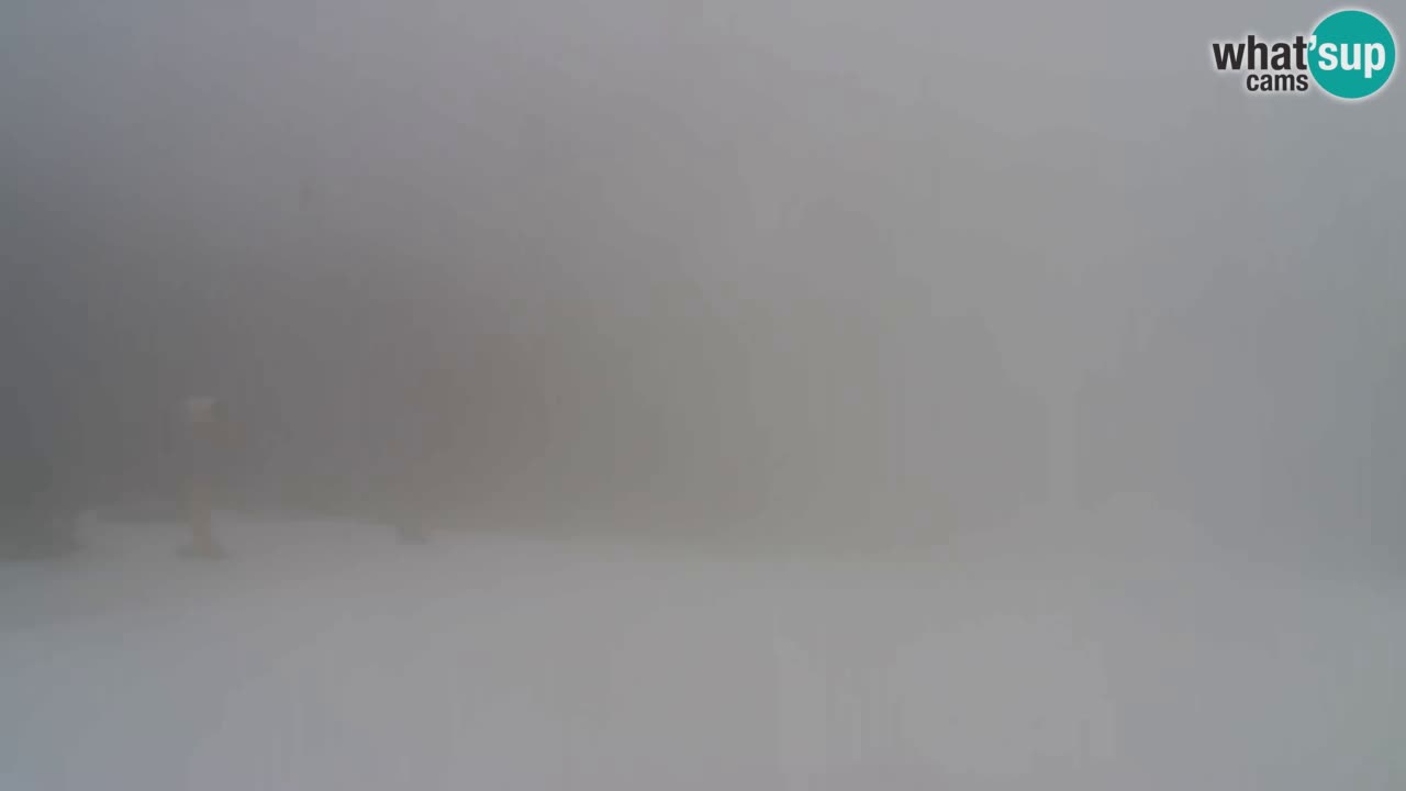 Web kamera Pohorje Trikotna Jasa | Poštela