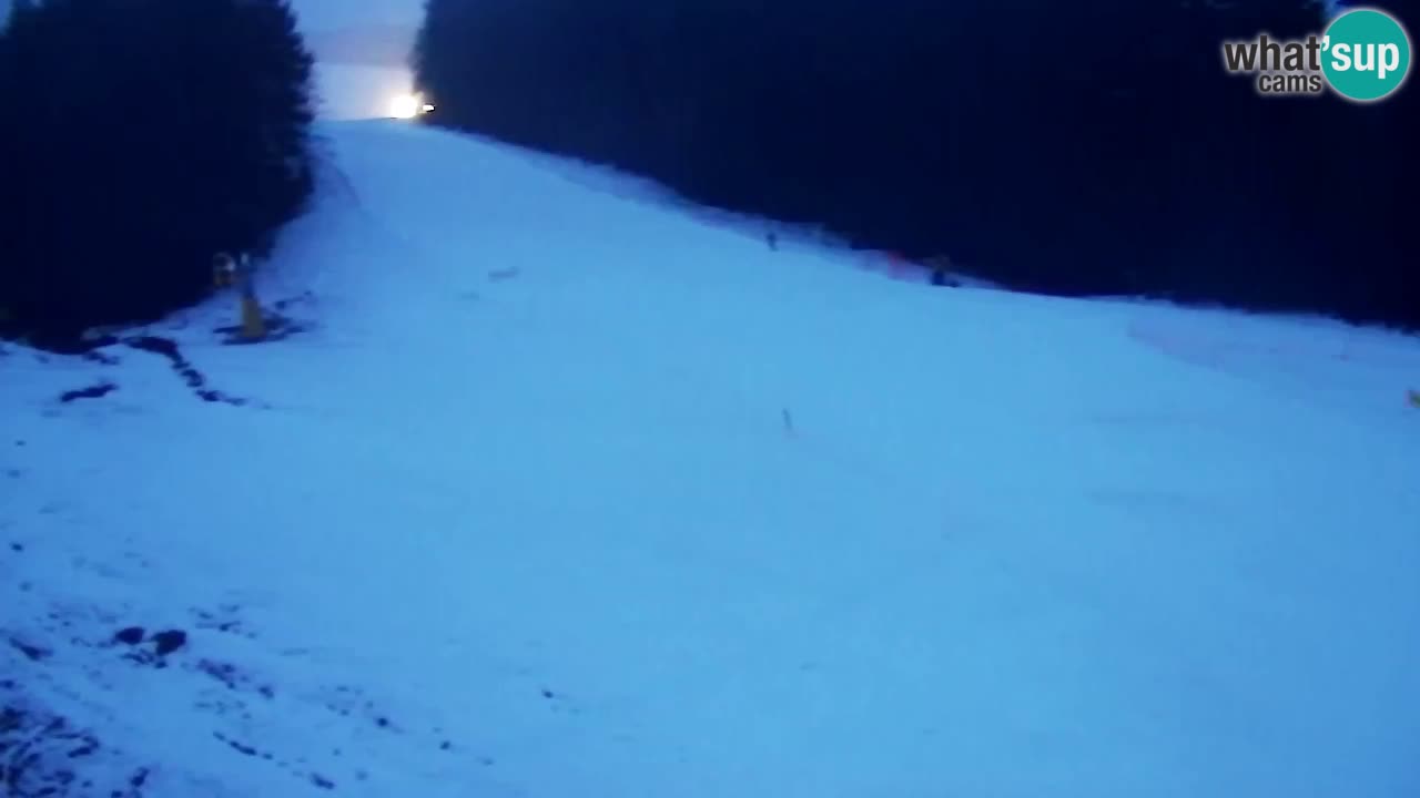 Webcam Pohorje Trikotna Jasa | Poštela